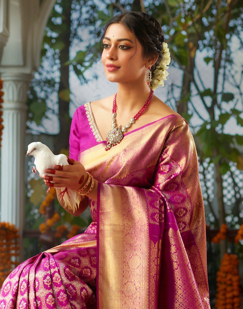 Pink & Gold Banarasi Silk Saree