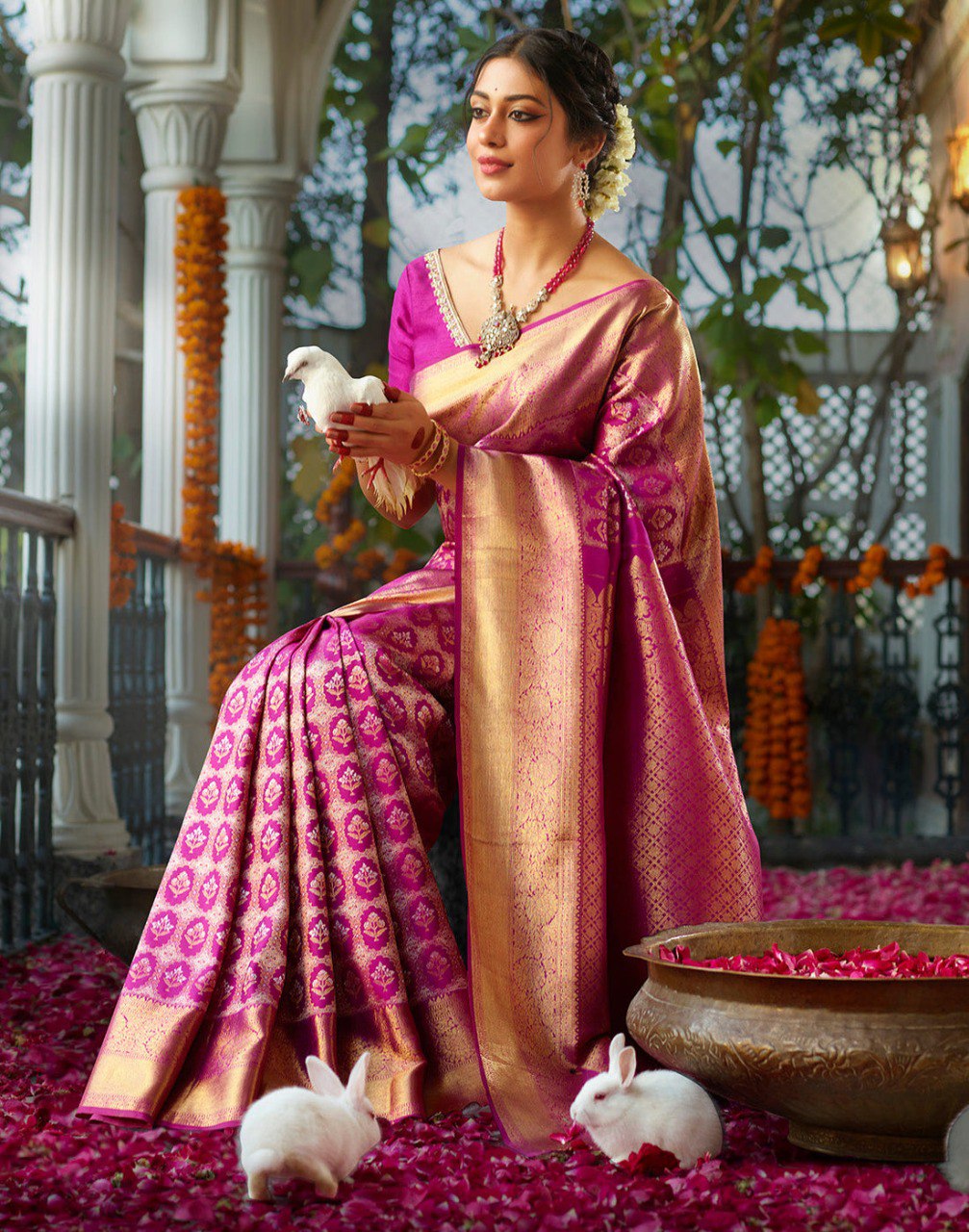 Pink & Gold Banarasi Silk Saree