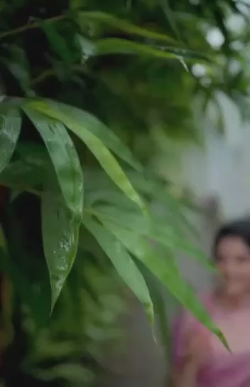 The Serenity of Blush